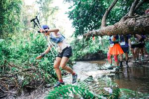 BIB: 
                            <button type="button" onclick="openModal(25458672)" class="btn btn-primary btn-sm float-right btn-popup" data-toggle="modal" data-target=".modal-high-quality">
                        <i class="fas fa-shopping-cart"></i> Add to Cart
                    </button>
                                            <button type="button" onclick="isThisMe(25458672, true)" class="btn btn-success btn-sm float-right btn-popup btn-isme hidden" data-toggle="tooltip" data-placement="bottom" title="นี่คือรูปของคุณใช่ไหม คลิกที่นี่เพื่อเอาเข้าอัลบั้ม">
                        <i class="fas fa-plus"></i> Add to album
                    </button>
                    <button type="button" onclick="isThisMe(25458672, false)" class="btn btn-warning btn-sm float-right btn-popup btn-isnotme hidden">
                        <i class="fas fa-ban"></i> Remove from album
                    </button>